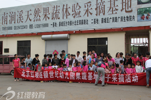 山東棗莊紅纓世紀花園幼兒園組織采摘活動