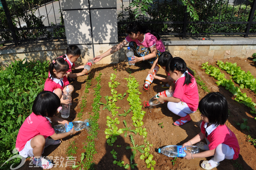 北京紅纓直營幼兒園山東煙臺紅纓幼兒園